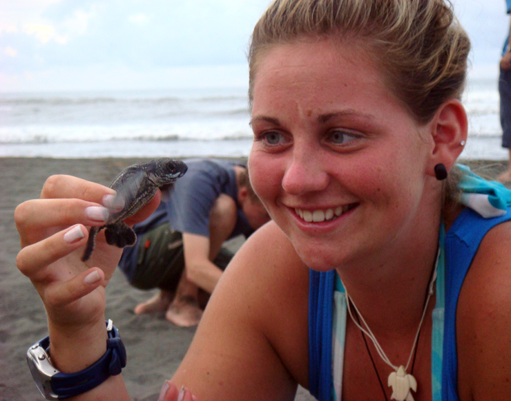 Turtle Conservation Project in Costa Rica