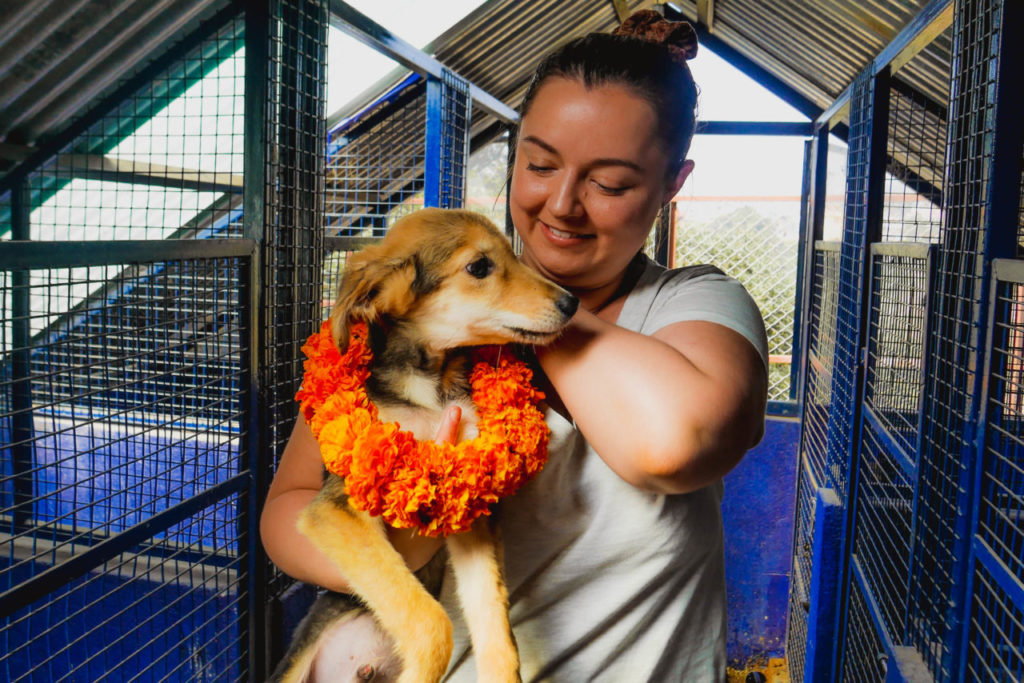 IN-Volunteer-with-Dogs-tgl-04-1024x683