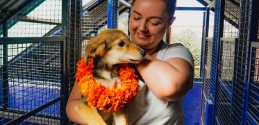 Volunteer holding a dog while helping at an animal care project in India