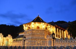 Four Incredible Weeks in Sri Lanka