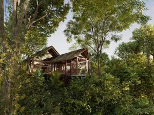 Leaving a suited job to live in peaceful Costa Rica