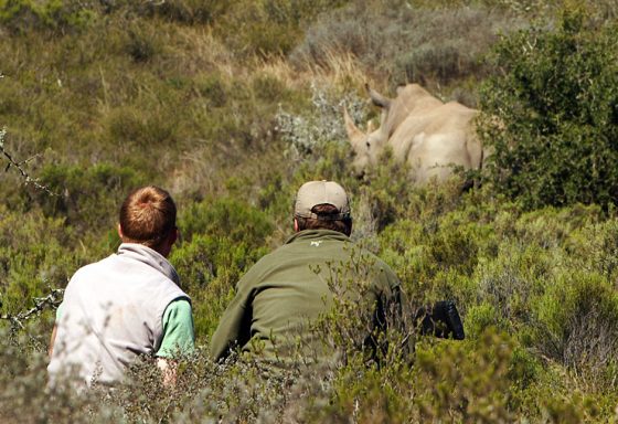 Become an African Game Ranger